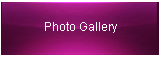 Photo Gallery